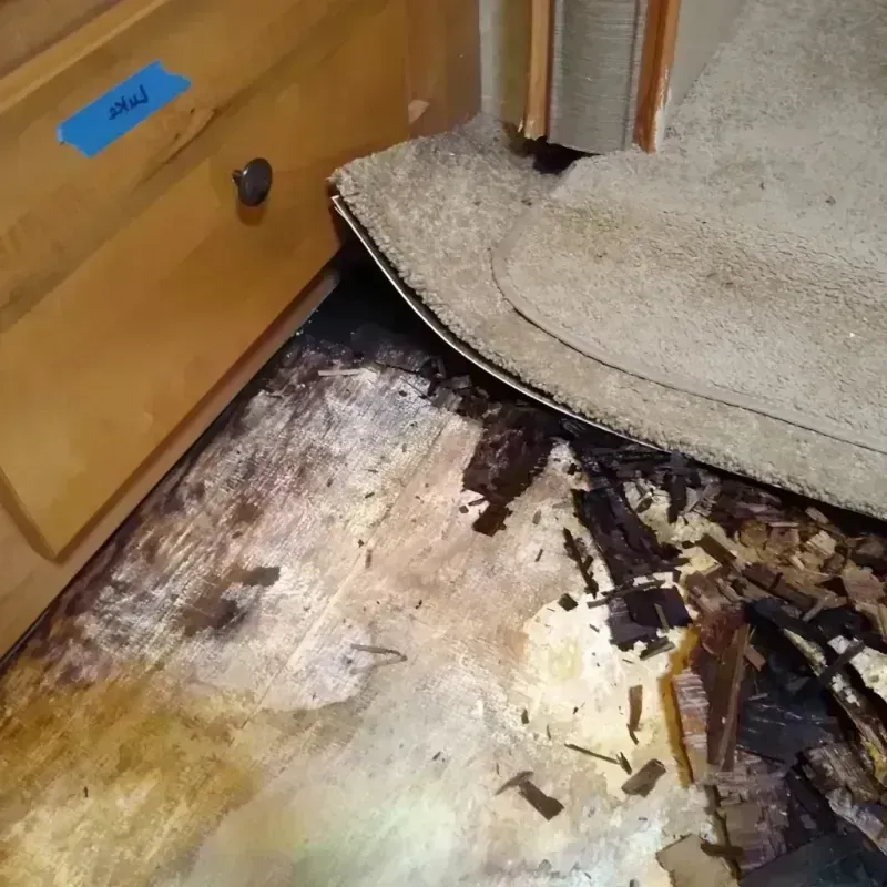 Wood Floor Water Damage in Kenwood, OH